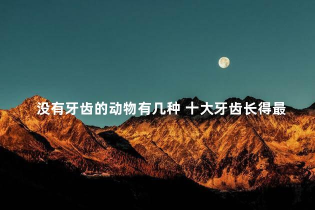 没有牙齿的动物有几种 十大牙齿长得最恐怖的动物